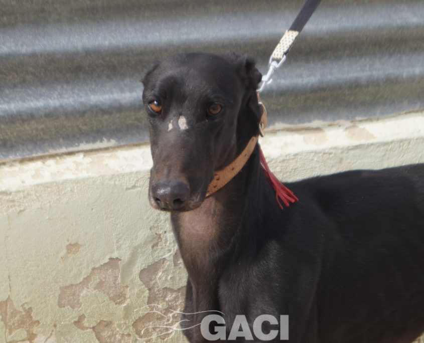 P210208_02 ISLERO M2 941000023950942 ( CESION) (5)