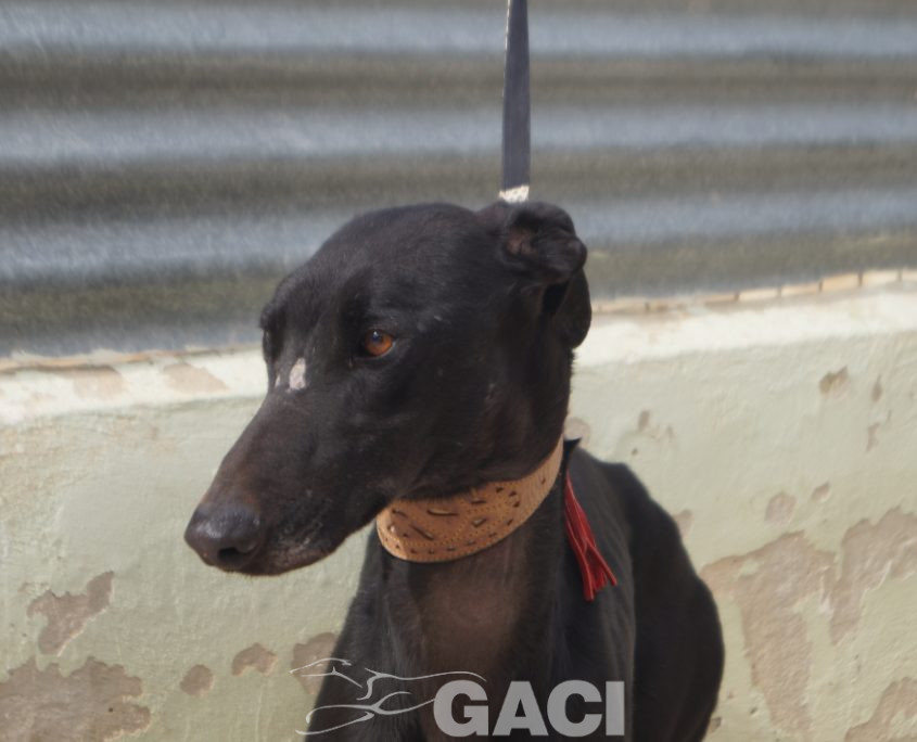 P210208_02 ISLERO M2 941000023950942 ( CESION) (6)