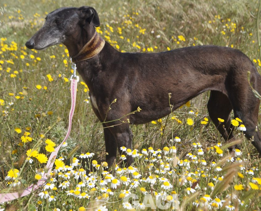 VALERI NUEVAS FOTOS (10)