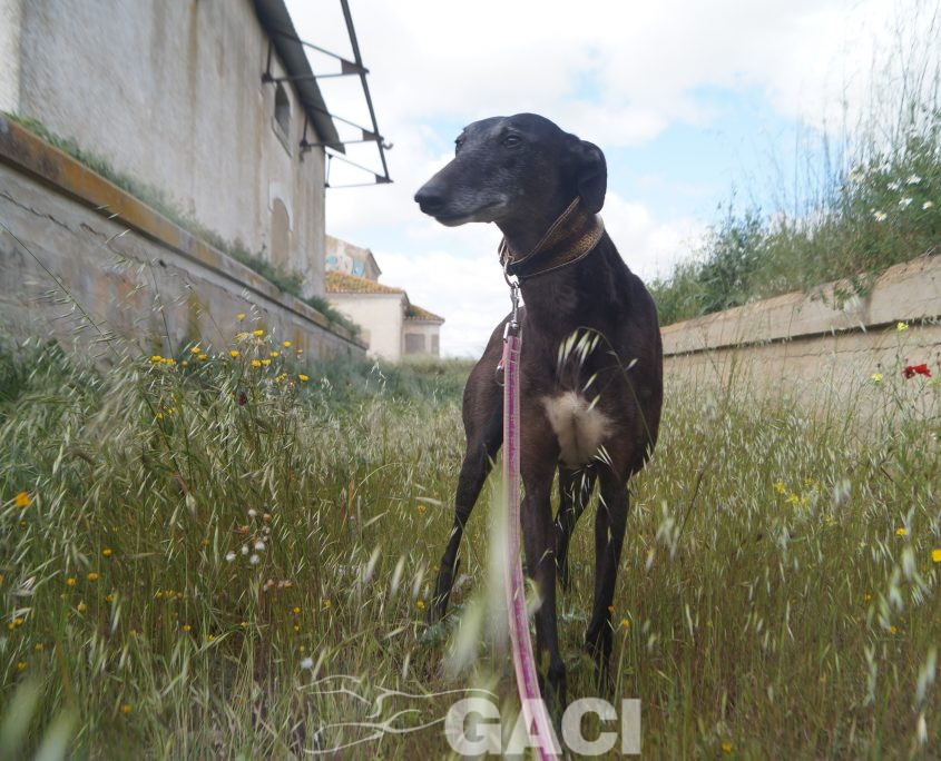 VALERI NUEVAS FOTOS (3)