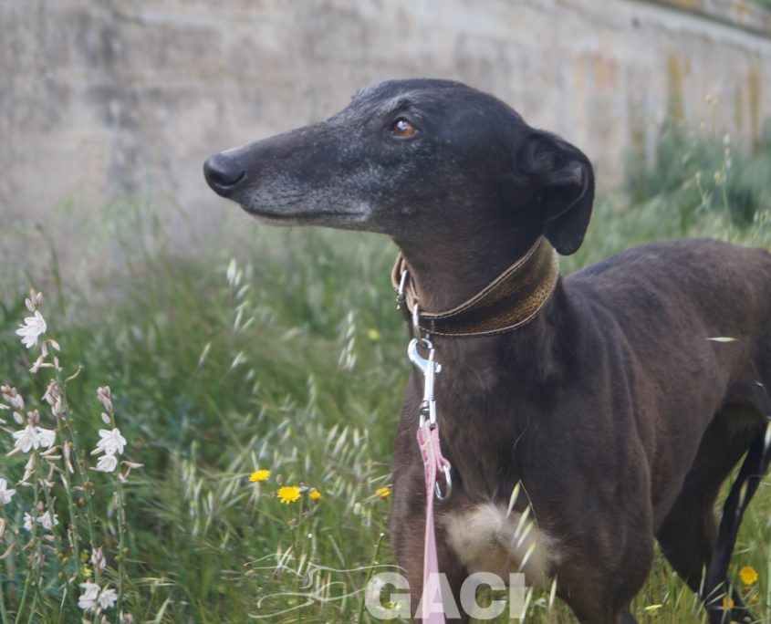 VALERI NUEVAS FOTOS (4)