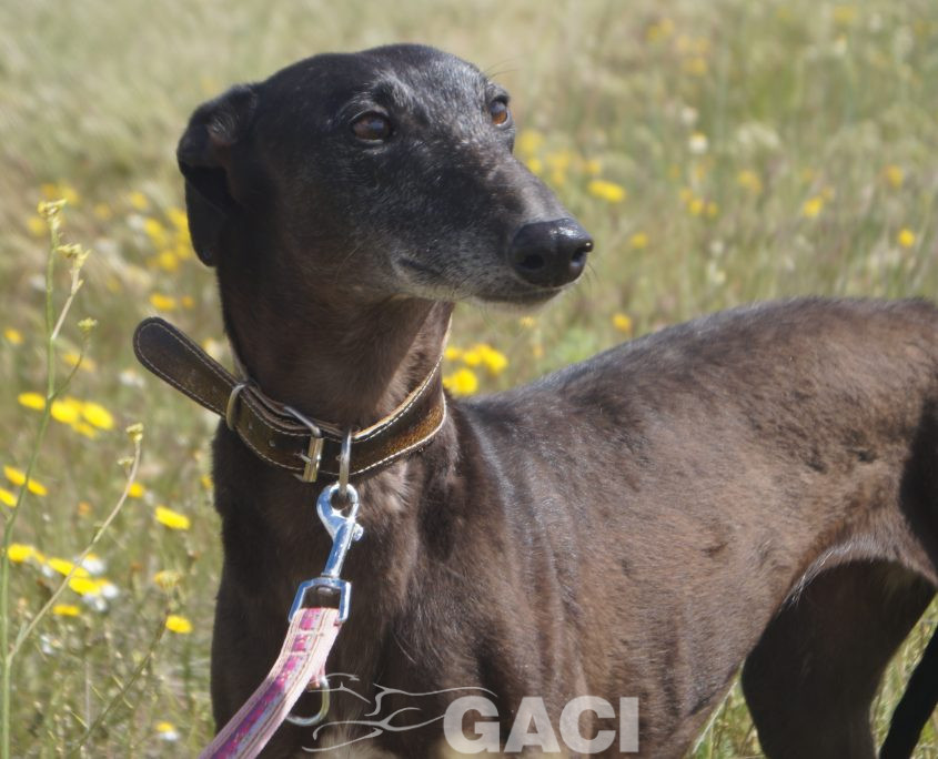 VALERI NUEVAS FOTOS (6)