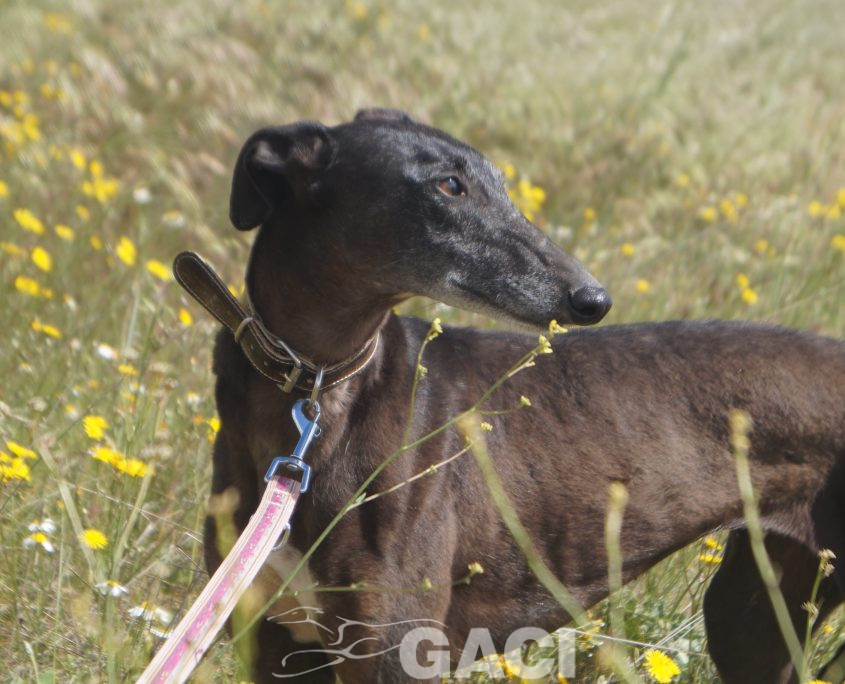 VALERI NUEVAS FOTOS (7)