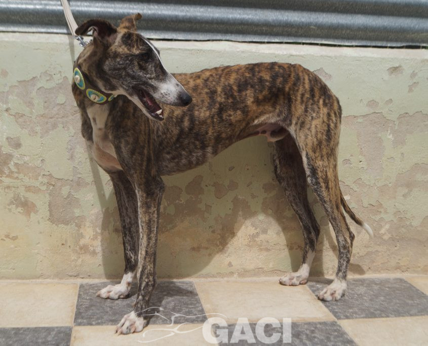 P210620_02 ARGAN M2 (1)