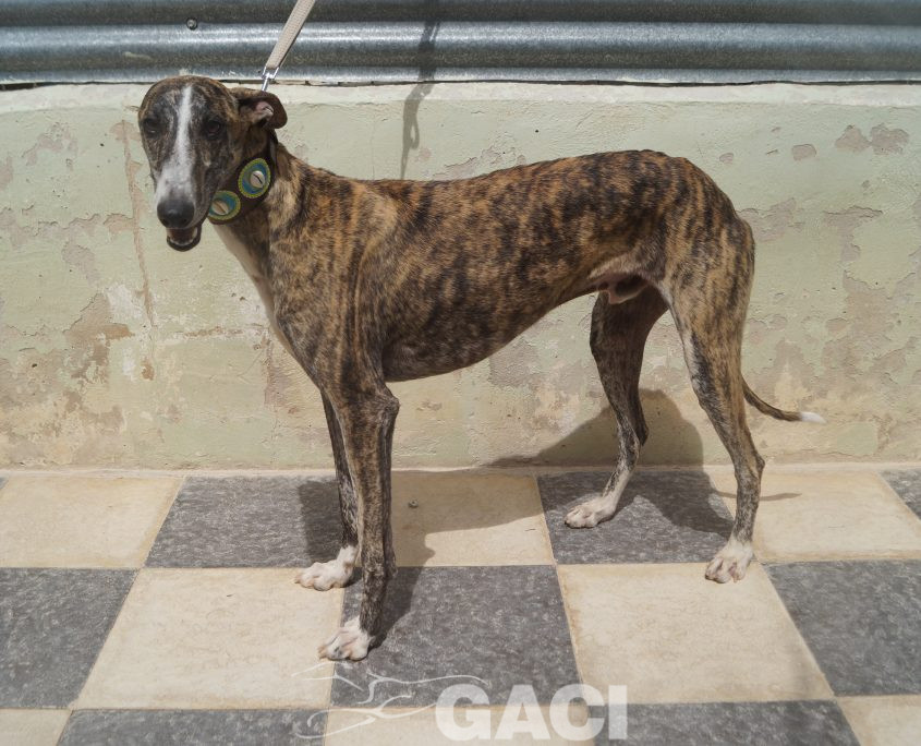 P210620_02 ARGAN M2 (2)