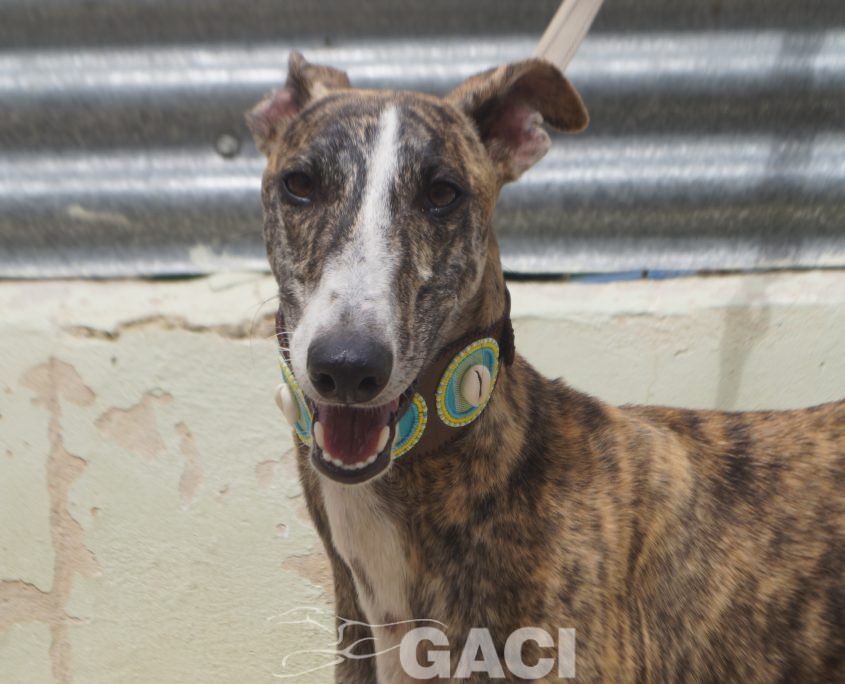 P210620_02 ARGAN M2 (6)