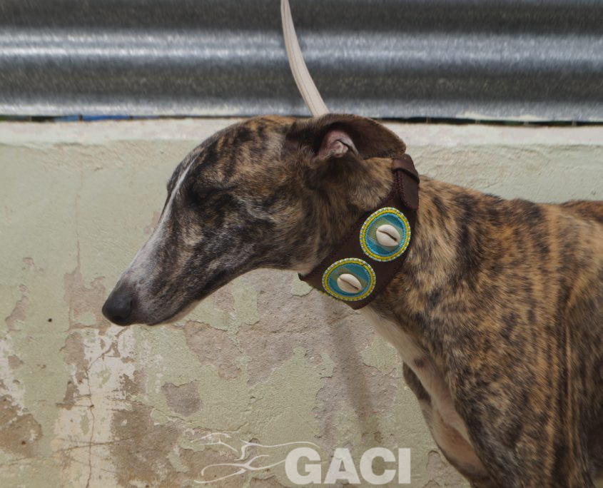 P210620_02 ARGAN M2 (7)