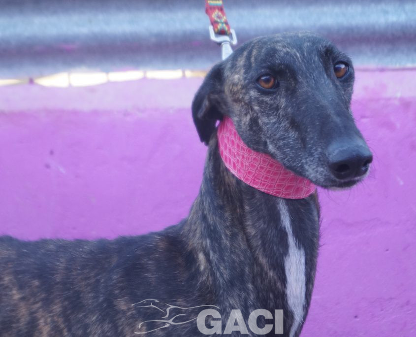 P211023_01 ALEC M3 (1)