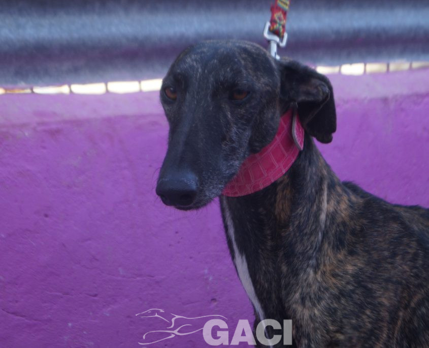 P211023_01 ALEC M3 (5)