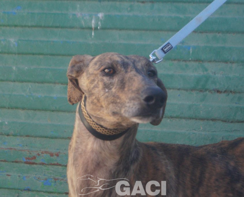 P220213_01 YATRA M 3 941000024067860 ( CESION) (5)