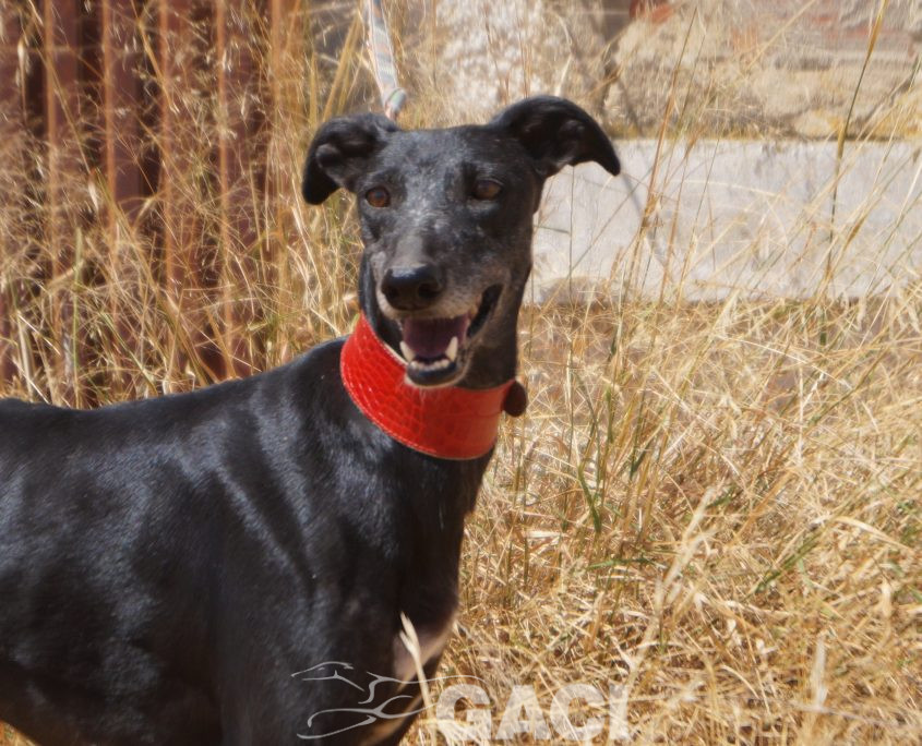 VIEJA NUEVAS FOTOS (1)