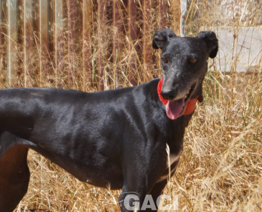 VIEJA NUEVAS FOTOS (2)