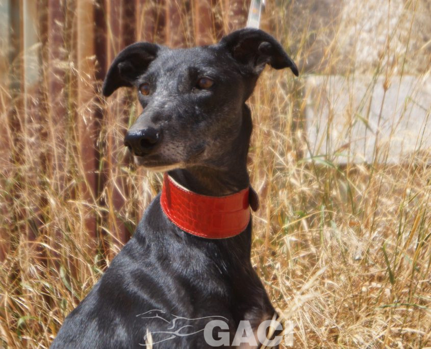 VIEJA NUEVAS FOTOS (3)