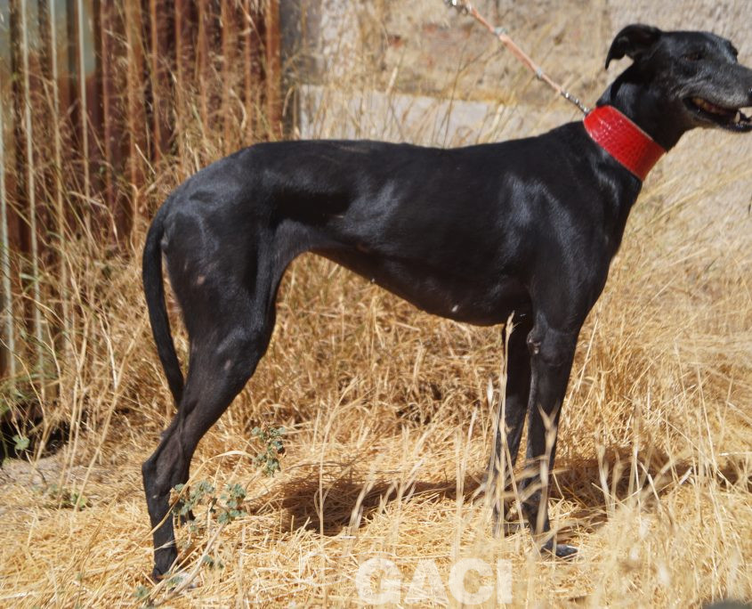 VIEJA NUEVAS FOTOS (5)