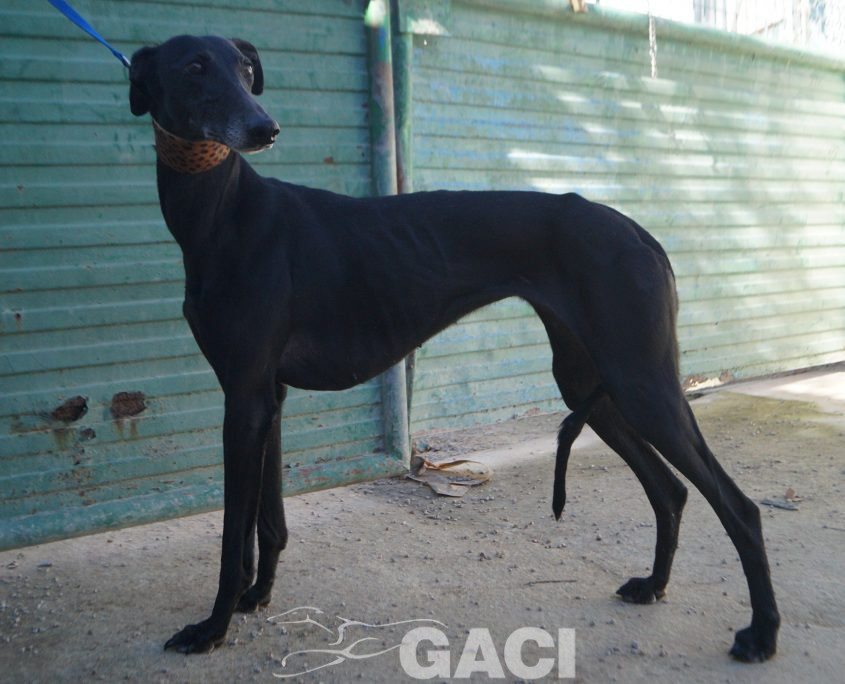 P220118_01 MORA H5 941000021937699 ( CESION) (3)