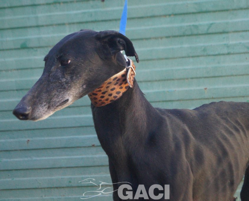 P220118_01 MORA H5 941000021937699 ( CESION) (6)