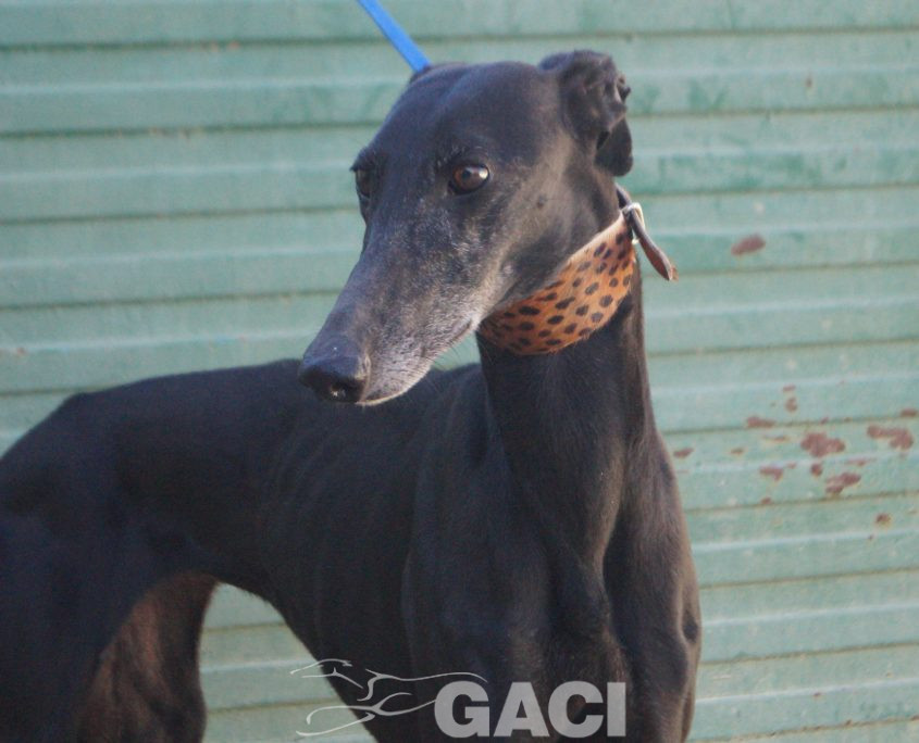 P220118_01 MORA H5 941000021937699 ( CESION) (8)