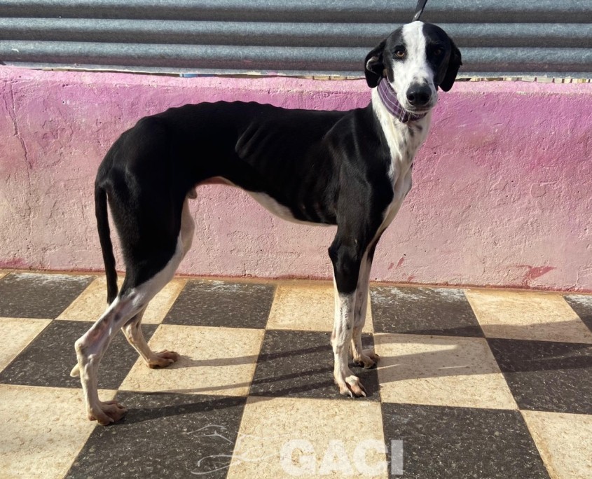 P221225_02 NOEL M4 (2)