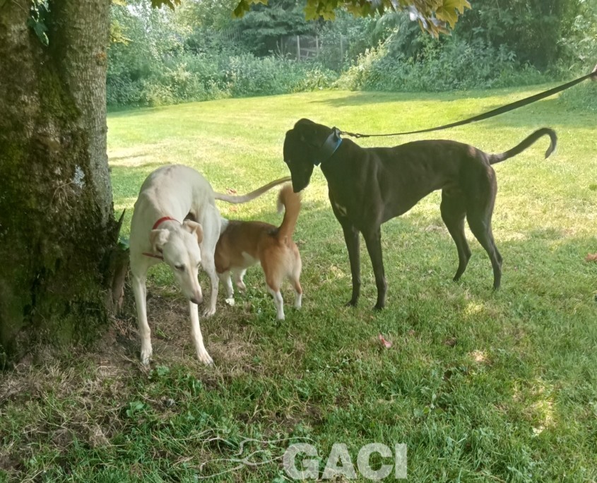 received_317968963920478