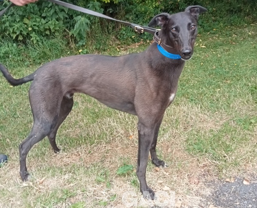 received_593570302948314