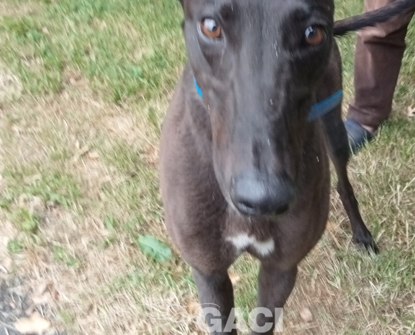 received_612507731014514