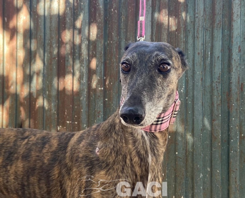 ANITA 2023-09-21 at 14.24.52