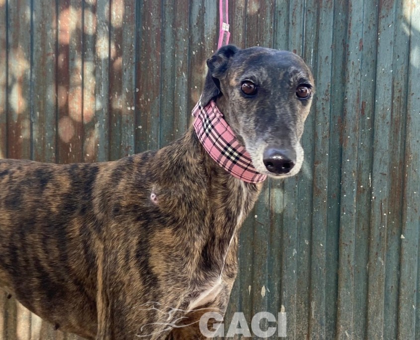 WhatsApp Image 2023-09-21 at 14.24.52 (1)