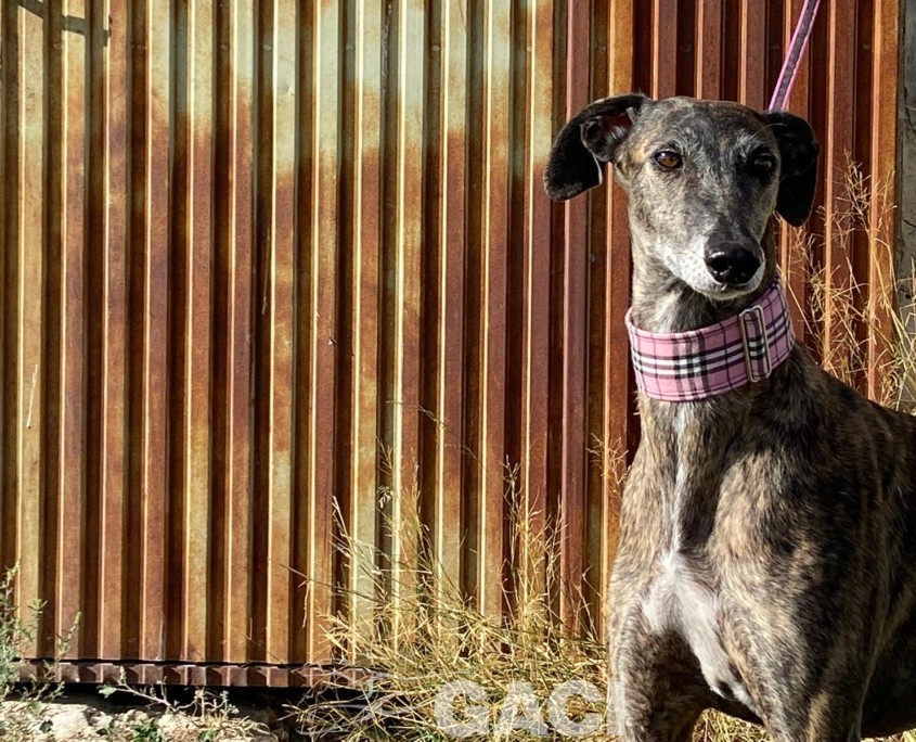 WhatsApp Image 2023-09-21 at 14.24.53 (1)