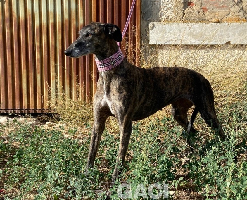 WhatsApp Image 2023-09-21 at 14.24.54 (1)