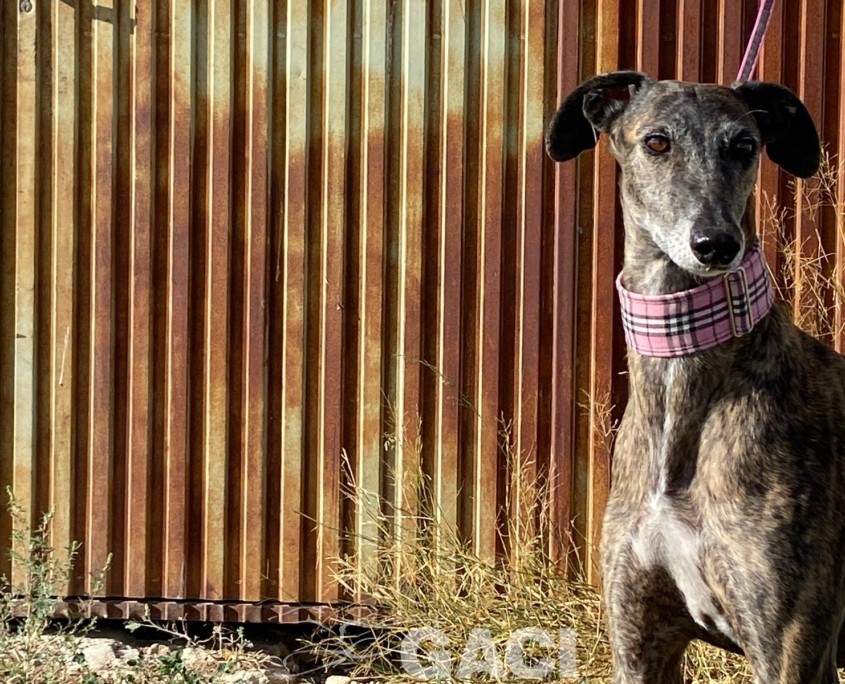 WhatsApp Image 2023-09-21 at 14.24.54