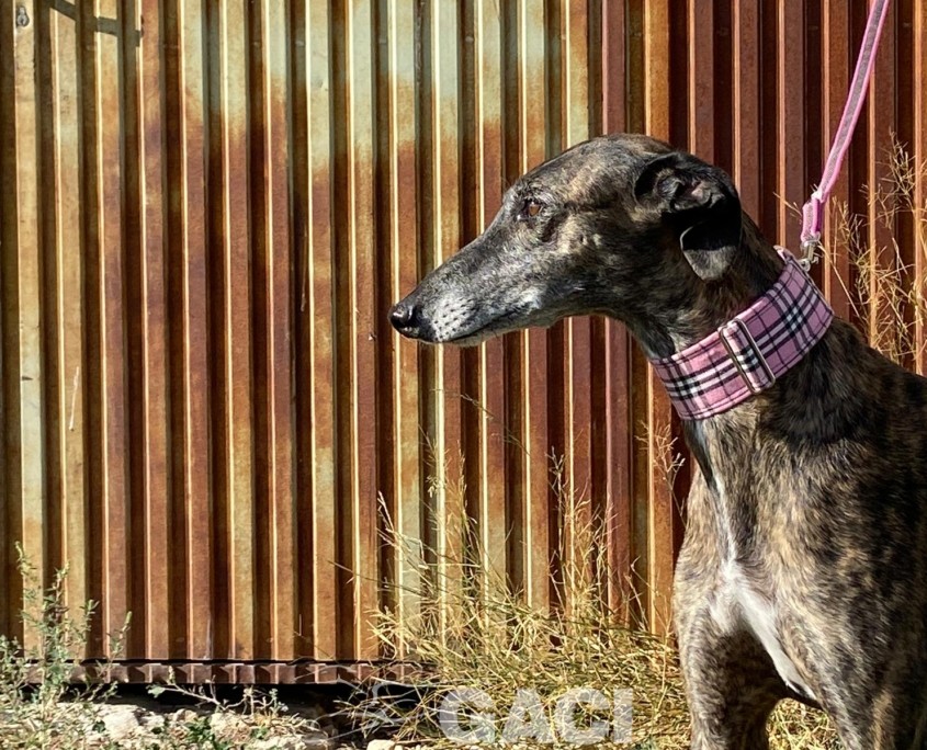 WhatsApp Image 2023-09-21 at 14.24.55