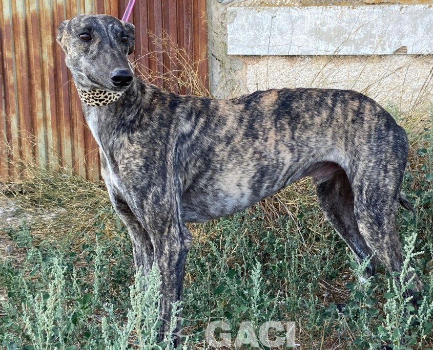 WhatsApp Image 2023-10-17 at 15.06.53 (1)