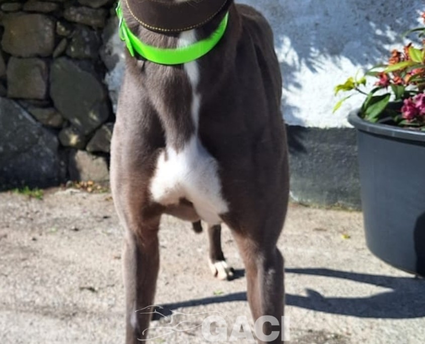 Screenshot_20240610_211920_WhatsApp