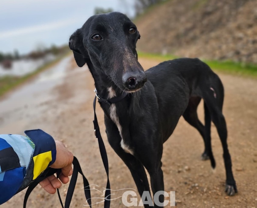 WhatsApp Image 2026-02-11 at 21.27.12 (1)