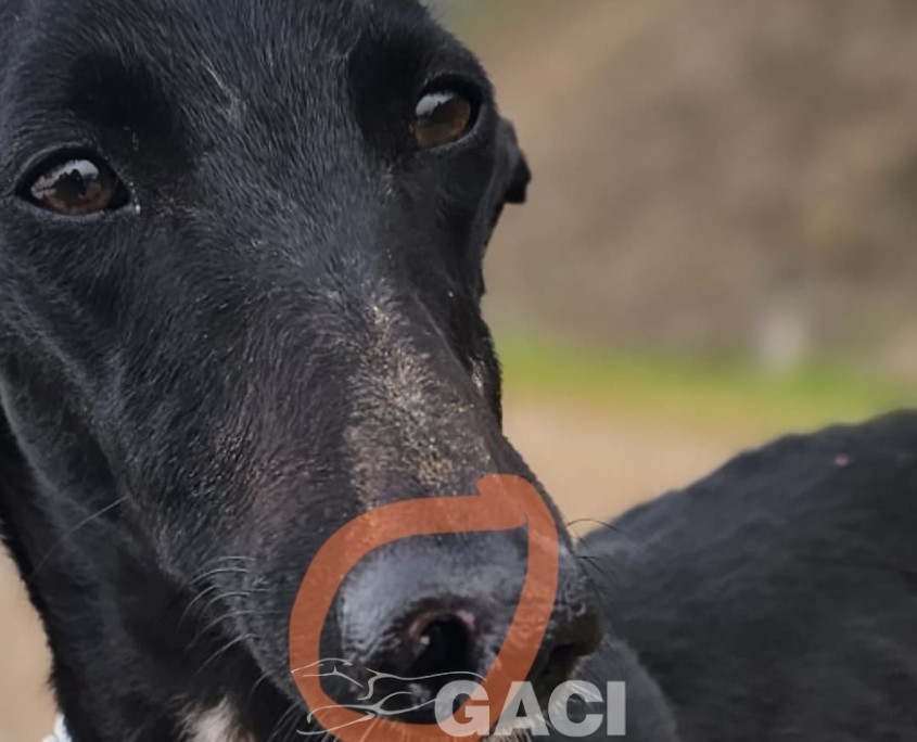 WhatsApp Image 2026-02-12 at 12.31.14